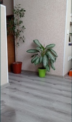 Однокомнатная с шикарным ремонтом фото 5 Однокомнатная с шикарным ремонтом фото 5