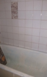 Здається квартира Одеська, Чорноморськ, Іллічівськ, Данченка фото 9 Здається квартира Одеська, Чорноморськ, Іллічівськ, Данченка фото 9