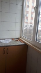 На год и более фото 4 На год и более фото 4