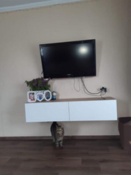 1 комнатная без выселения на лето фото 6 1 комнатная без выселения на лето фото 6