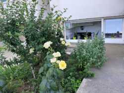 Здається квартира Одеська, Чорноморськ, Іллічівськ, Парусна фото 3 Здається квартира Одеська, Чорноморськ, Іллічівськ, Парусна фото 3