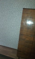 Здається квартира Одеська, Чорноморськ, Іллічівськ, Данченка фото 6 Здається квартира Одеська, Чорноморськ, Іллічівськ, Данченка фото 6