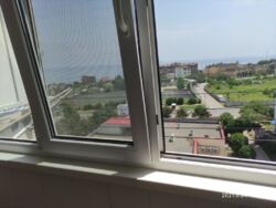 На год и более фото 8 На год и более фото 8