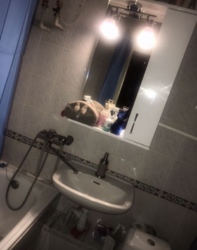 Сдам длительно без выселения на лето однокомнатную квартиру фото 5 Сдам длительно без выселения на лето однокомнатную квартиру фото 5