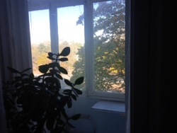 Здам довгостроково квартиру на Парковій фото 6 Здам довгостроково квартиру на Парковій фото 6