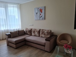 Оренда великої 1к квартири с кухнею-студією фото 5 Оренда великої 1к квартири с кухнею-студією фото 5