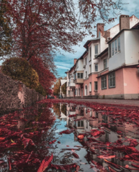 Сдам трехкомнатную в центре Черноморска фото 10 Сдам трехкомнатную в центре Черноморска фото 10