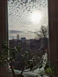 2к квартира на максимально длительный срок фото 11 2к квартира на максимально длительный срок фото 11