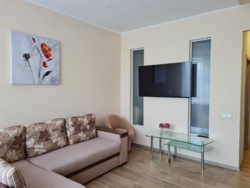 Оренда великої 1к квартири с кухнею-студією фото 1 Оренда великої 1к квартири с кухнею-студією фото 1