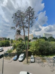 1-, , 26  3,  ,   13