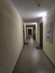 1-, , 26  3,  ,   15