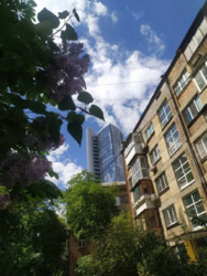 ������� �������� ��������� ���., 8, ���, ���������� ���� 13