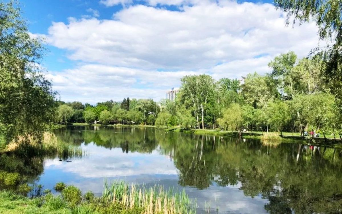 Здається квартира Київ, Дніпровський, ул. Воскресенская, 16а фото 1 Здається квартира Київ, Дніпровський, ул. Воскресенская, 16а фото 1