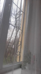 2� �������� ���� 11