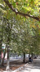 Оренда 1 кімнатної квартири Київ, Виноградар, проспект Правди, 10 000 грн. фото 9 Оренда 1 кімнатної квартири Київ, Виноградар, проспект Правди, 10 000 грн. фото 9