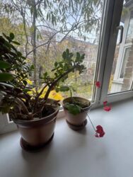 2к метро Площа Українських героїв фото 2 2к метро Площа Українських героїв фото 2