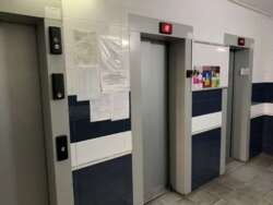 Здається квартира Київ, Дарницький, ул. Софии Русовой, 1, м. Осокорки фото 2 Здається квартира Київ, Дарницький, ул. Софии Русовой, 1, м. Осокорки фото 2