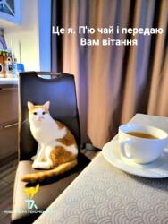 2� ����� ���������� ���� 12