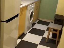 1� ��������. ���������. ���� 7