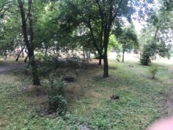 1к квартира (гостинка) метро Лівобережна фото 16 1к квартира (гостинка) метро Лівобережна фото 16