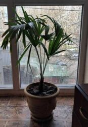 1� ��������. �. �������. ���� 4