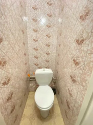 2� ����� ���� 7