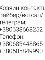 1� ��������. �. ����������. ���� 15