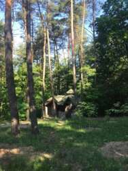 ������� �������� ���, ������������� ���� 3