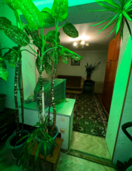 2� ����� ��������� ���� 12