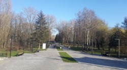 Здається квартира Київ, Шевченківський, Ольжича ул., м. Дорогожичі фото 6 Здається квартира Київ, Шевченківський, Ольжича ул., м. Дорогожичі фото 6