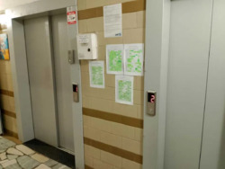 1� ������������� ���� 10