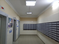 2� � �� ���� ѳ� ���� 18