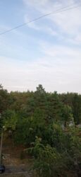 2к квартира метро Бориспільська фото 10 2к квартира метро Бориспільська фото 10
