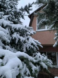 1� �������� � ���������� ������� �. ��������. ���� 10