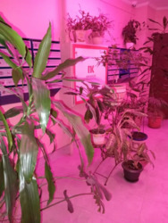 1к метро Шулявська фото 11 1к метро Шулявська фото 11