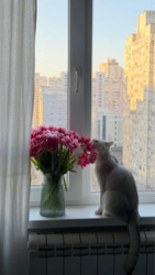 2� ����� ��������� ���� 13