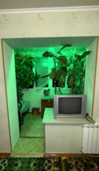 2� ����� ��������� ���� 10