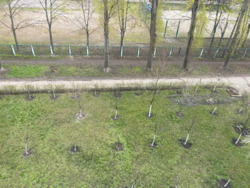 2к Троєщина фото 18 2к Троєщина фото 18