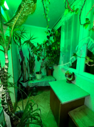 2� ����� ��������� ���� 11