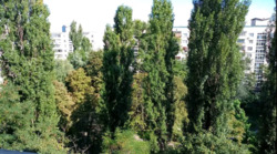 2� �������. �. ˳��������� ���� 2