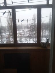 1к квартира. Нивки. фото 9 1к квартира. Нивки. фото 9