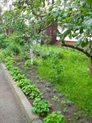 2-к ДВРЗ фото 13 2-к ДВРЗ фото 13