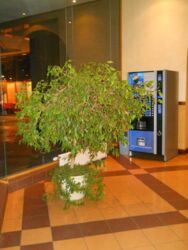 1к квартира Вокзальна фото 7 1к квартира Вокзальна фото 7