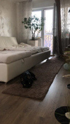 2� ³������� ���� 16