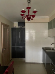 1� ����� ���� 5