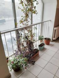 2� �������� �. ̳����� ���� 14