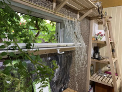 1� �������� � ���������� ������� �. ��������. ���� 6