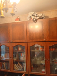 2к квартира м. Чернігівська та Лісова фото 5 2к квартира м. Чернігівська та Лісова фото 5