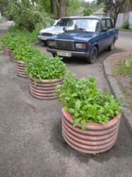 2-к ДВРЗ фото 14 2-к ДВРЗ фото 14