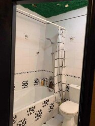 2� ����� ���� 7